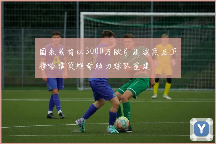 国米或将以3000万欧引进波黑后卫穆哈雷莫维奇助力球队重建