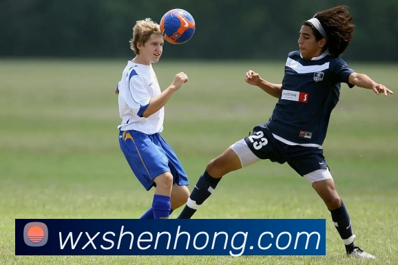 米兰站官网入口平台生态图