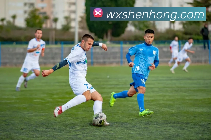 米兰站官网入口APP 封面图